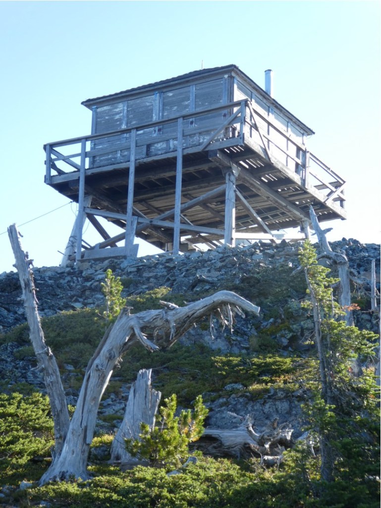 A lookout on stilts with a twisted tree in front of it. 
